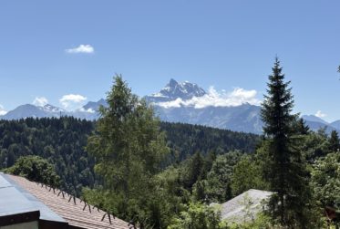 Chalet cocoon sur 1600 m2 de terrain, superbe vue