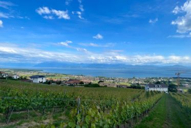 VENTE CONFIDENTIELLE SUR LA CÔTE VAUDOISE