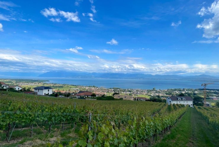 VENTE CONFIDENTIELLE SUR LA CÔTE VAUDOISE
