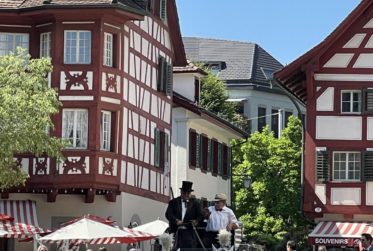 Vente Coopérative parts de Maison de Maitre , élégante bâtisse historique, Lucerne