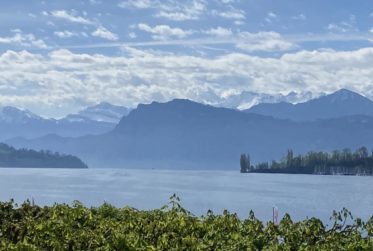 Vente Coopérative parts de Maison de Maitre , élégante bâtisse historique, Lucerne