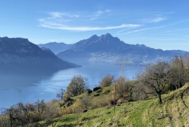 Coopérative - VENTE CONFIDENTIELLE AVEC VUE SUR LE LAC DES QUATRE CANTONS