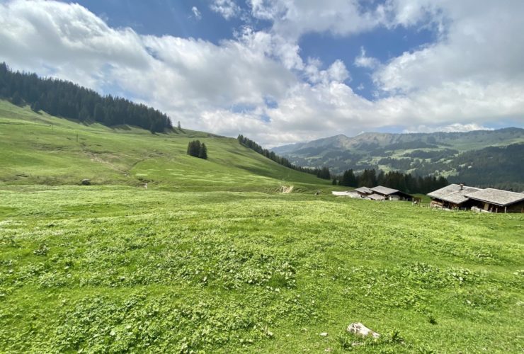 Vente de parts coopérative - Attique Montagne en Station
