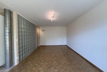Joli 1.5 pièces avec balcon intégralement rénové